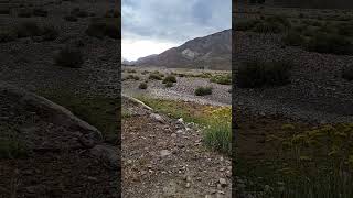 El Los Molles, Cabaña gratis, por ayudar a alguien