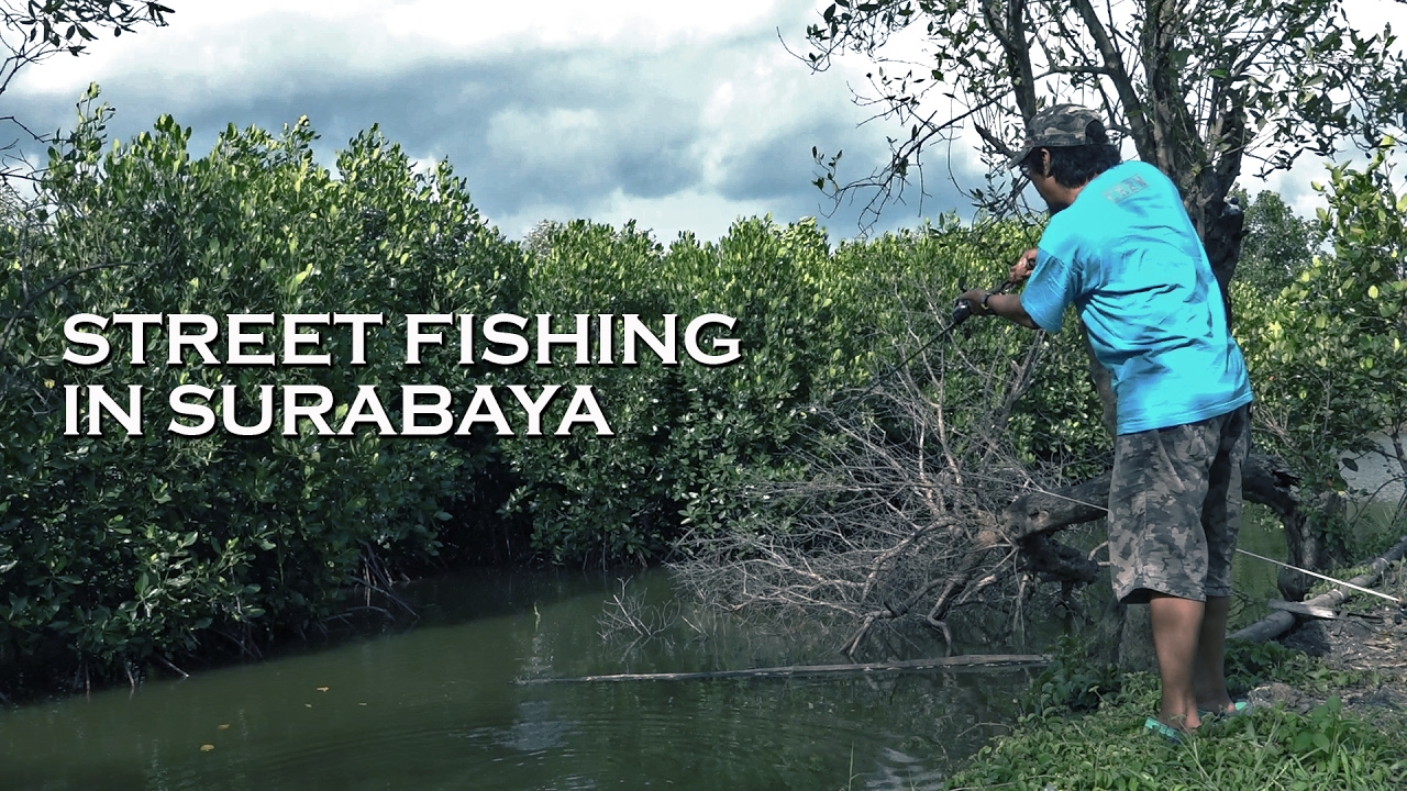 Улица рыбалка. Street Fishing. Street Fis sale.