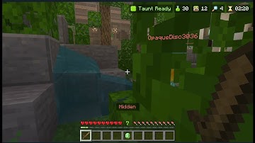 HOW DID THEY NOT FIND ME?!?!? Minecraft Hide and Seek (The Hive)
