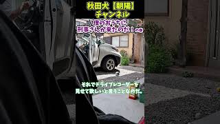 秋田犬【朝陽】チャンネル【僕のおうちに刑事さんが来たのだ！の巻】#刑事#たつの殺人事件#ドライブレコーダー#ドラレコ#shorts
