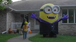 8ft Airblown Gone Batty Minion Halloween Inflatable Youtube