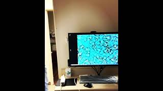 MICROSCOPIC ANALYSIS OF BACTERIA AT NORTH RALEIGH PERIODONTICS 🔬🦷