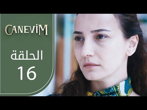 قلبي الحلقة 16  عربي 