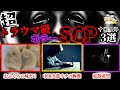 【ゆっくり解説】洒落にならない…中国支部の何かとエゲつないホラーSCP3選! 【SCP-CN-119】【SCP-CN-647】【SCP-CN-1990】