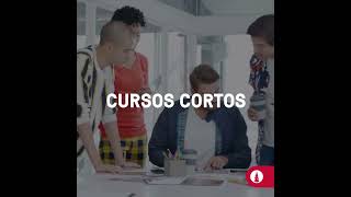 PEE Programa de Especialización para Ejecutivos PEE Programa de Especialización para Ejecutivos