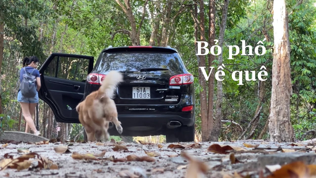 Bỏ phố về quê giấc mơ và hiện thực .| cuộc sống nông thôn 