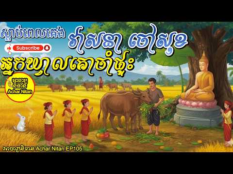 ស្តាប់ពេលគេង,វាសនាចៅសុខ អ្នកឃ្វាលគោចាំផ្ទះ, |EP105