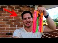 Mayhem Lures SALE - Don't miss out on this deal!