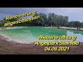 Wiedereröffnung Angelpark Steinfeld - Renovierung abgeschlossen!!