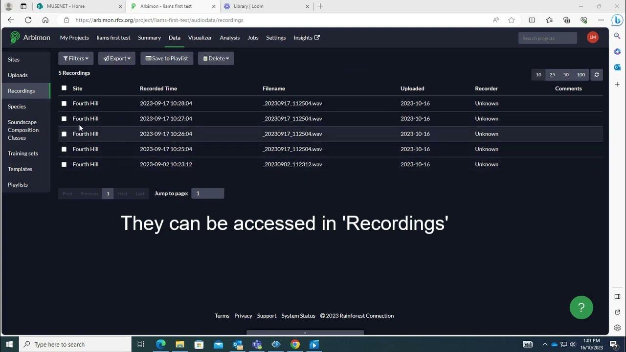 4a Uploading Audio Files to Arbimon  Importer YouTube