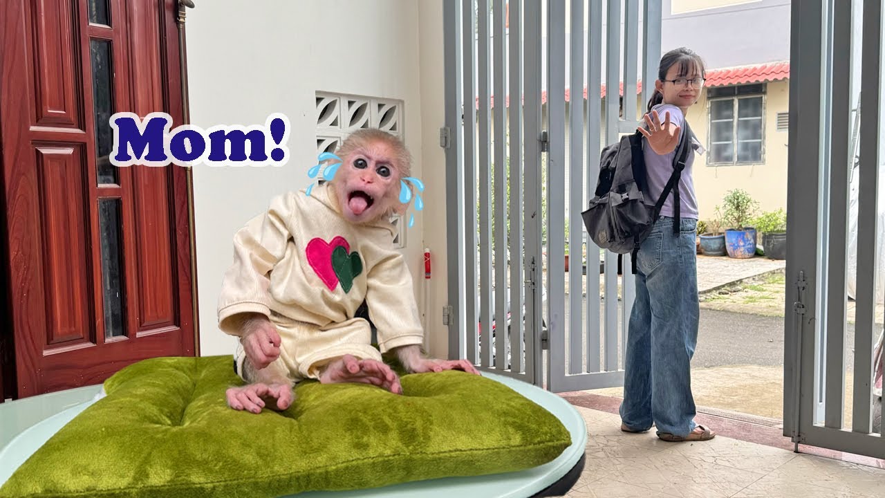 Lucky sobbed when his mother came home late from work