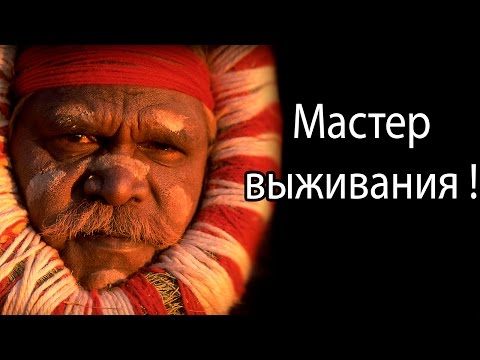 Золото партии игровой автомат играть бесплатно и без регистрации на андроид игровые автоматы робинзон онлайн играть бесплатно и без регистрации