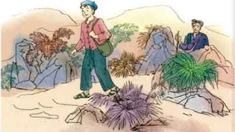 Tập đọc lớp 3 tuần 14: Người liên lạc nhỏ