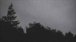 F0x3r - Here Forever | Blackbird