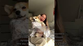Я украла собаку? 😳 Почему? Духи мохито ВБ: 395942171
