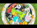 sea creature names for kids | fun and simple sea life toys for preschool kids
