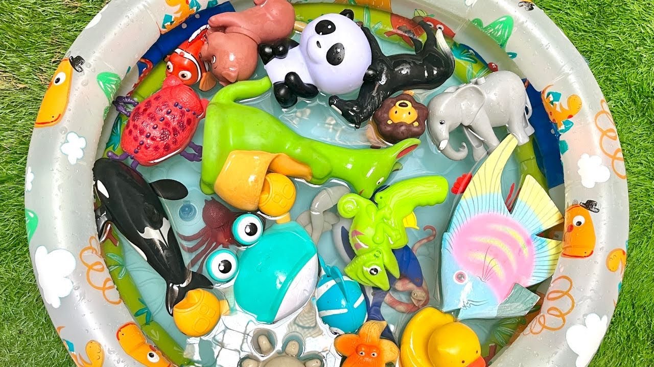 sea creature names for kids | fun and simple sea life toys for preschool kids