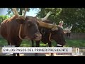 Nuestros 2250: Siguiendo los pasos de George Washington en Old Town Alexandria | Telemundo 44
