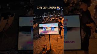 [개코보리의 하루] 부산밤바다 산책중보리♡ #강아지 #애견영상 #puppy #반려견 #puppy #cutedog #cute #영화관 #광안리 #부산바다