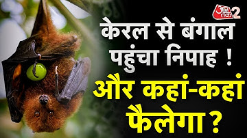 AAJTAK 2 LIVE | NIPAH VIRUS | अब KERALA से बाहर निकला निपाह, WEST BENGAL में दी दस्तक | AT2 LIVE