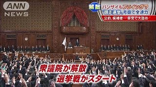 「バンザイはここで・・・」　師走選挙　各党大詰め(14/11/21)