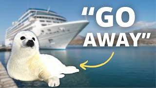 ALASKA CRUISE NEWS UPDATE + “SEAL” tells Cruisers “GO AWAY”