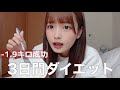 【ダイエット】3日間ダイエット中の食事を公開！