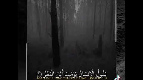 القارئ ادريس ابكر - سورة القيامه