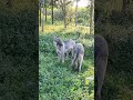 At the Edge of Action