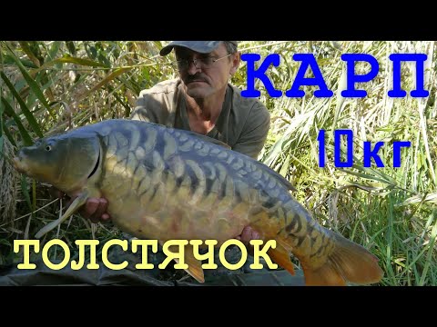 Моя рыбалка №6. Октябрь 2014г. Сазан, карп.