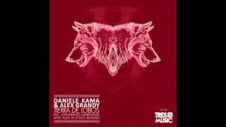 Daniele Kama,Alex Grandy - I Can&#39;t Believe (Markomas Remix)