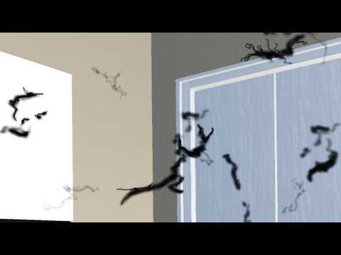 Flashers and Floaters in VR - Possible Retinal Tear Symptoms