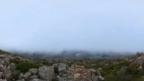 2024 12 02 105236 00 250