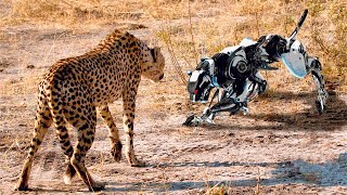 Animales Carnívoros VS Robots Animales A MUERTE