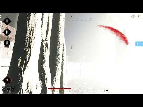 Getting a kill with a flash grenade whilst flashed - Hunt:Showdown