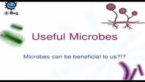 Std: 7. Sub: Science. Ls no: 11. Cell Structure and Micro organisms. Part 2
