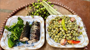 CÀ DẠI GIÃ CÁ KHÔ