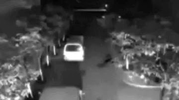Unbelievable - Lightning strikes a man twice
