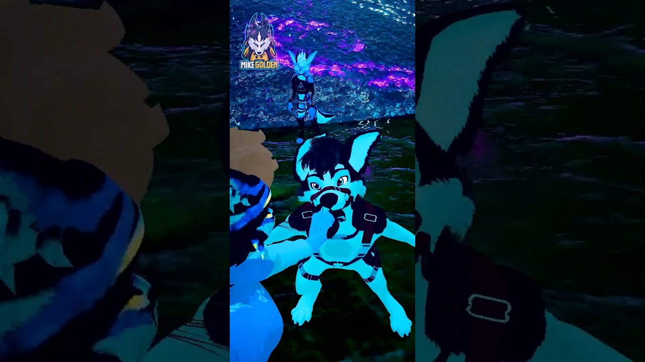 This Is Why We Play Virtual Reality | So We Can Take Our Dogs To The Dog Park