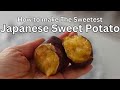 Perfectly Baked Japanese Sweet Potatoes: Creamy Inside, Healthy Outside