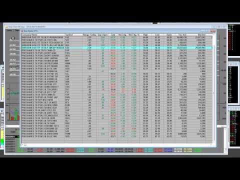 Bear ETF Trading