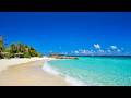 Paradise Found Ocean And Wild Beach Maldives 4K ULTRA HD 
