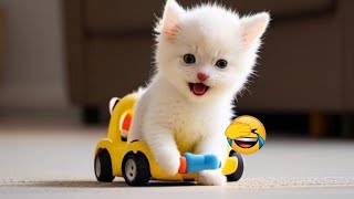 🤣🐱 Funniest Cats and Dogs 🐱🤣 Funny Animal Videos # 8