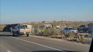 Livestock trailler with cows  flipped over on i10 Las cruces NM