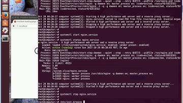 View NGINX Process Status and Restarting It