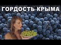 Виноградарство в Крыму. Интервью с виноградарем.