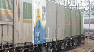 2009.6.13　東海道本線1071レ　EF210 145　岸辺