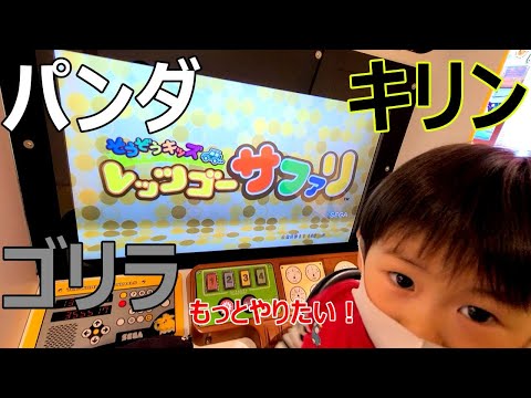 そうまくん そうぞうキッズ レッツゴーサファリ パンダ キリン ゴリラ コース Let S Go Safari Panda Giraffe Gorilla