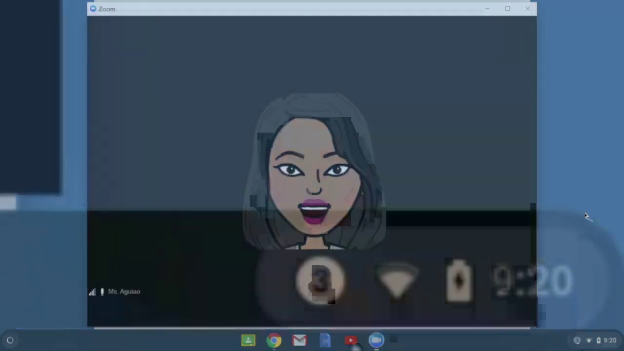 Adjust Microphone Volume on Zoom (Chromebook) YouTube