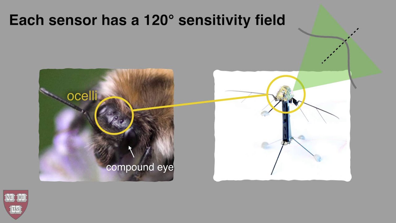 ⁣Controlling free flight of a robotic fly using an onboard sensor inspired by insect ocelli